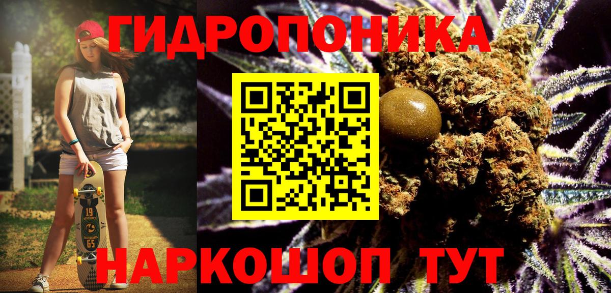 Аша  Канабис гибрид  Марихуана Bruce Banner  Вход с VPN  Марихуана Bruce Banner 
